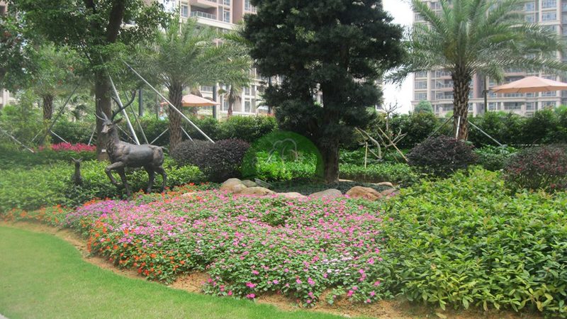 市政绿化养护规范与标准：区别与要点解析