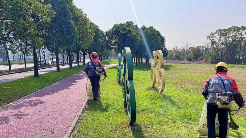 草坪铺设验收标准上海：关键要素与验收流程