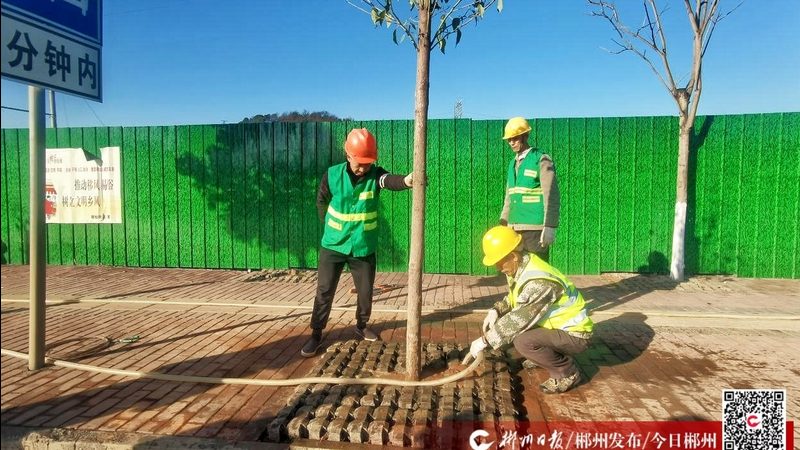 庭院常绿植物设计方案参数解析