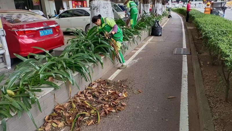 立体绿化定制方案：如何规避五大常见误区