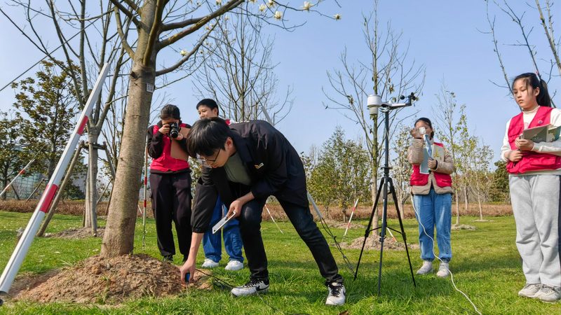 别墅花园景观设计施工报价表：揭秘定制化花园的秘密**